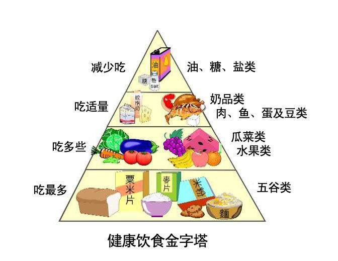 医用草莓视频污免费下载的原理与结构 