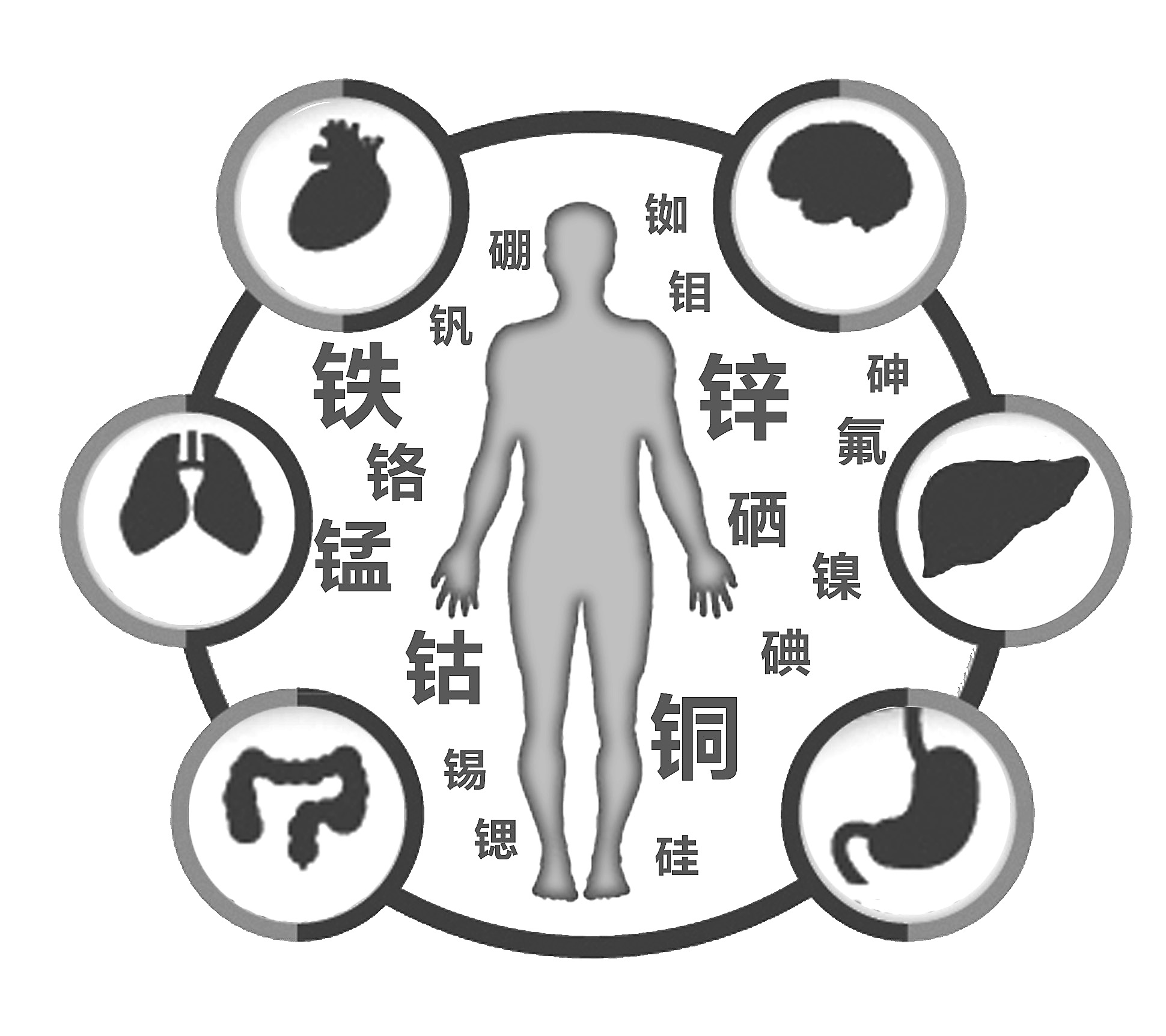 草莓视频污免费下载检查有必要吗